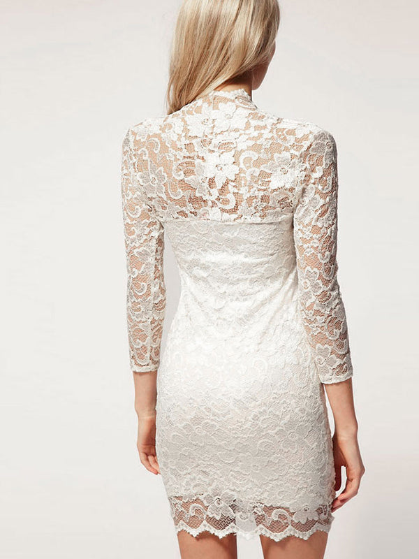 Sexy Elegant Lace Fitted Dress