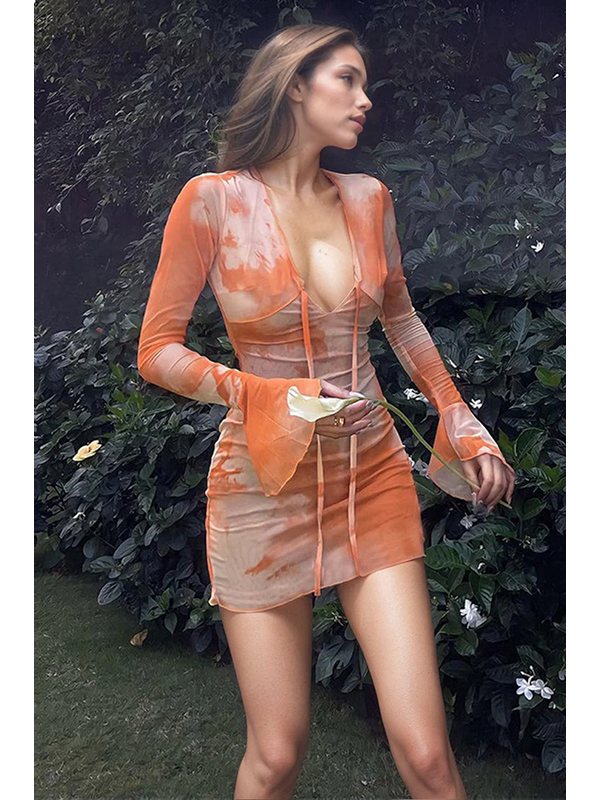 Plunge Ruched Mesh Flare Sleeve Mini Dress