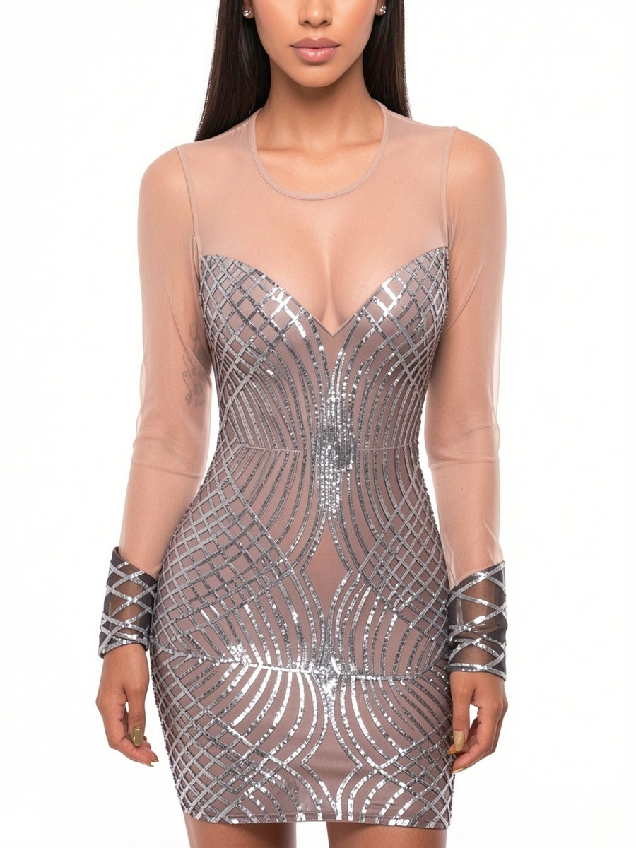 Sheer Mesh Long Sleeve Sequin Mini Dress